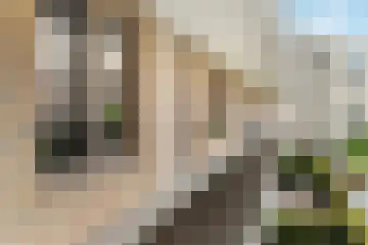 Wenenpromenade 24 Utrecht thumbnail 40