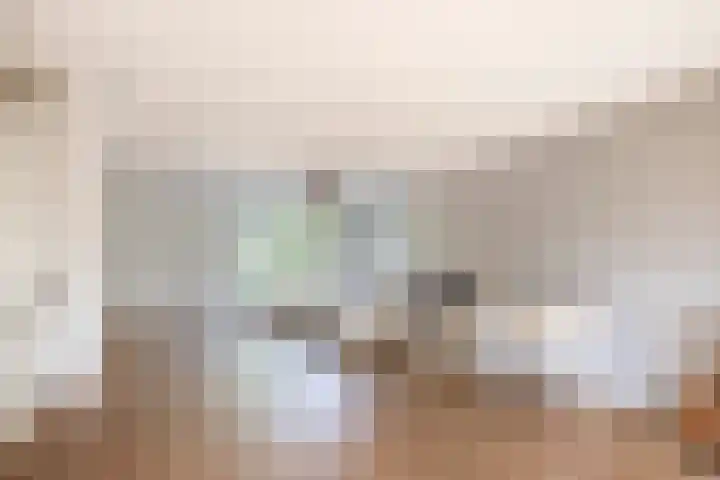 Wengéhout 22 Zoetermeer thumbnail 16