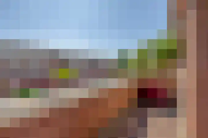 Wengéhout 22 Zoetermeer thumbnail 20