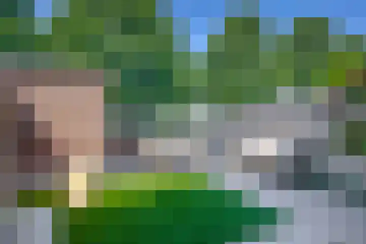 Wengéhout 22 Zoetermeer thumbnail 23