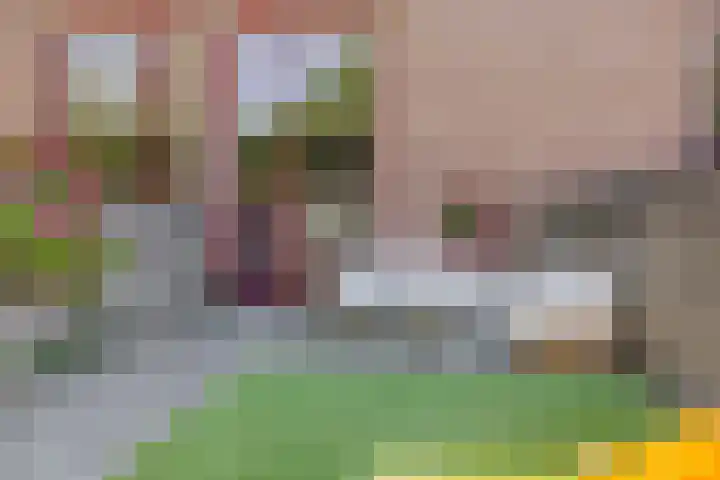 Wengéhout 22 Zoetermeer thumbnail 24
