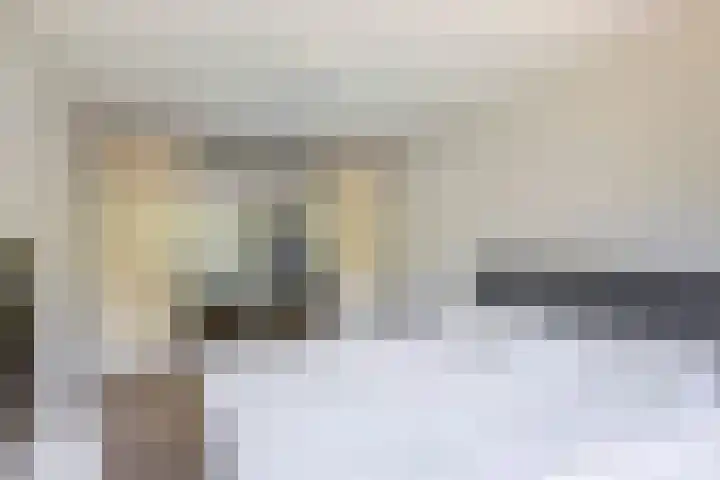 Wengéhout 22 Zoetermeer thumbnail 29