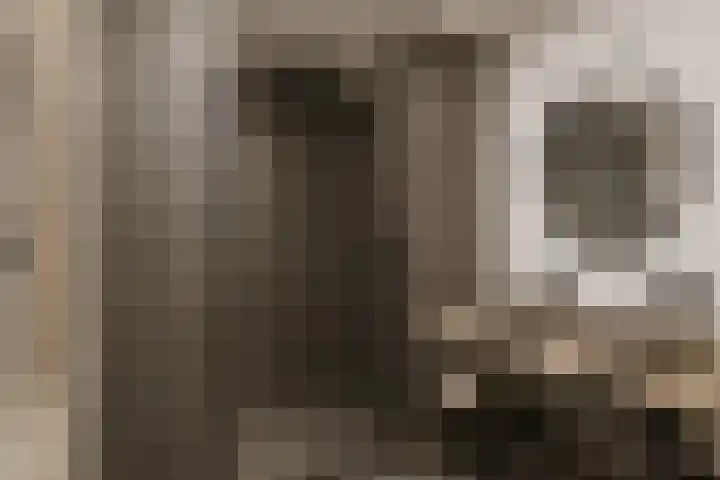 Wengéhout 22 Zoetermeer thumbnail 31