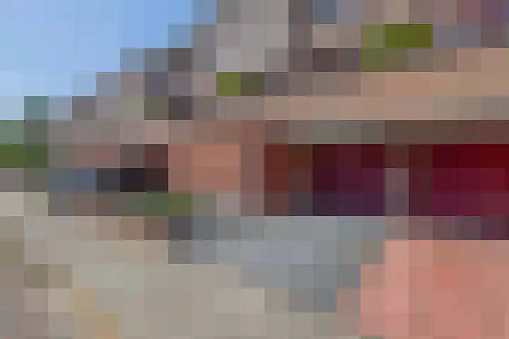 Wengéhout 22 Zoetermeer thumbnail 36