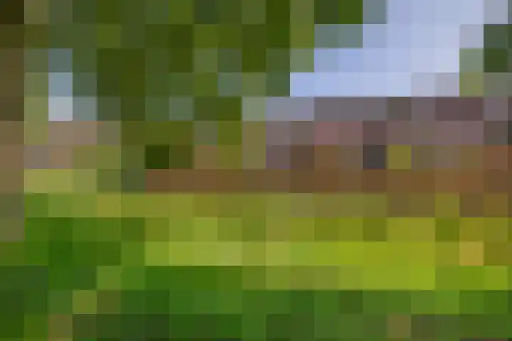 Wengéhout 22 Zoetermeer thumbnail 38