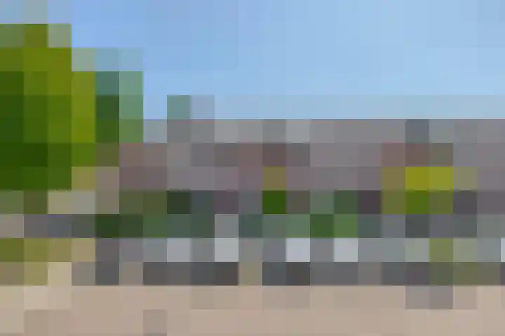 Wengéhout 22 Zoetermeer thumbnail 39