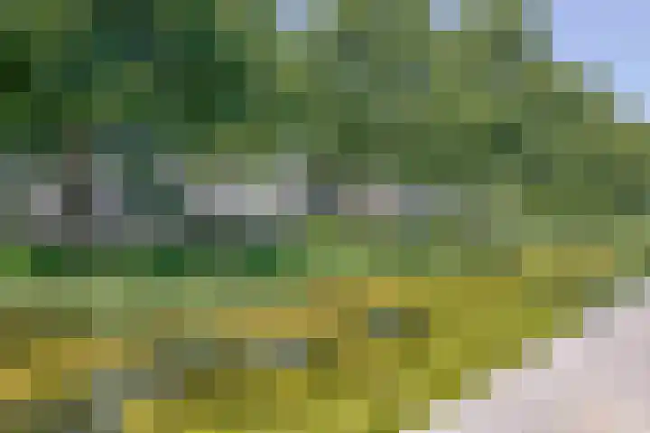 Wengéhout 22 Zoetermeer thumbnail 40