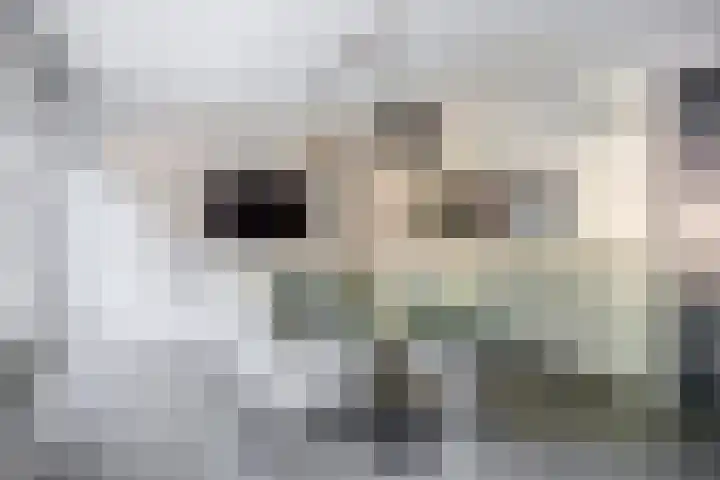Wengéhout 22 Zoetermeer thumbnail 9