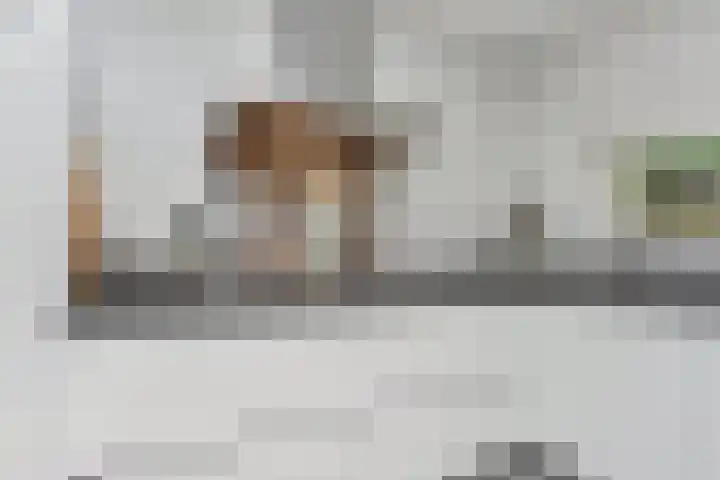 Wengéhout 26 Zoetermeer thumbnail 13