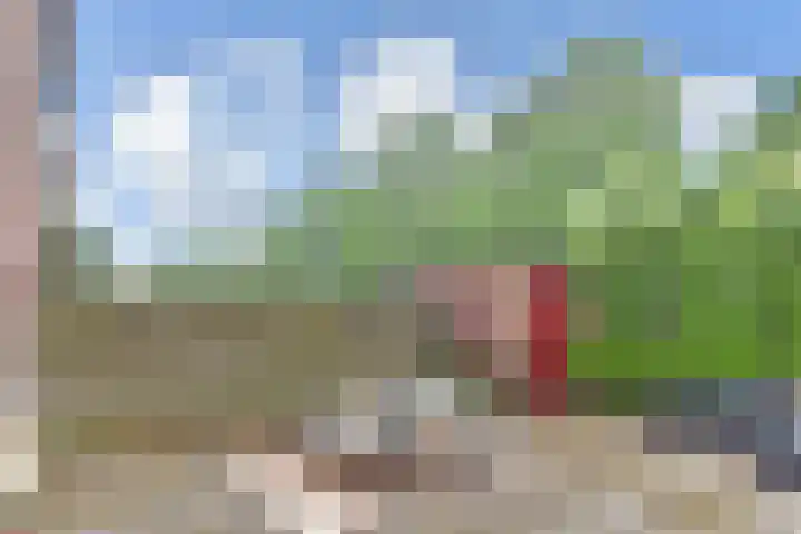 Wengéhout 26 Zoetermeer thumbnail 20