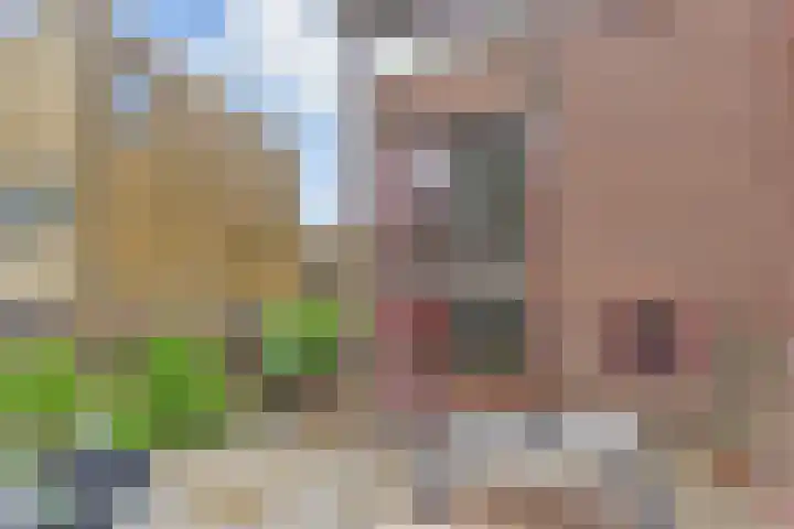 Wengéhout 26 Zoetermeer thumbnail 22
