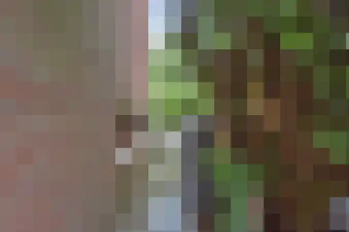 Wengéhout 26 Zoetermeer thumbnail 23