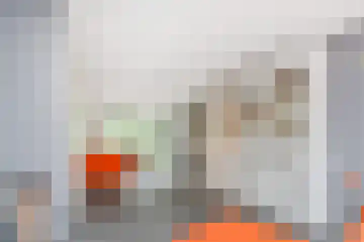 Wengéhout 26 Zoetermeer thumbnail 24