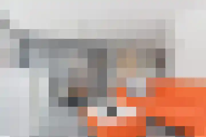 Wengéhout 26 Zoetermeer thumbnail 28