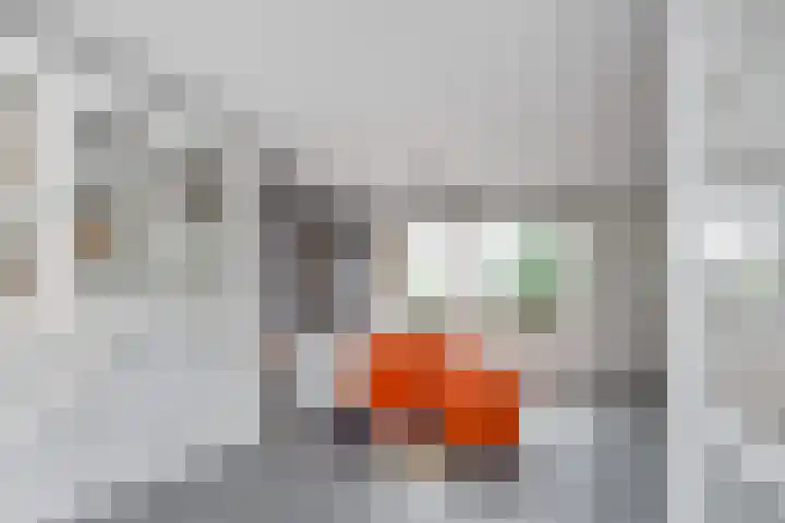 Wengéhout 26 Zoetermeer thumbnail 29