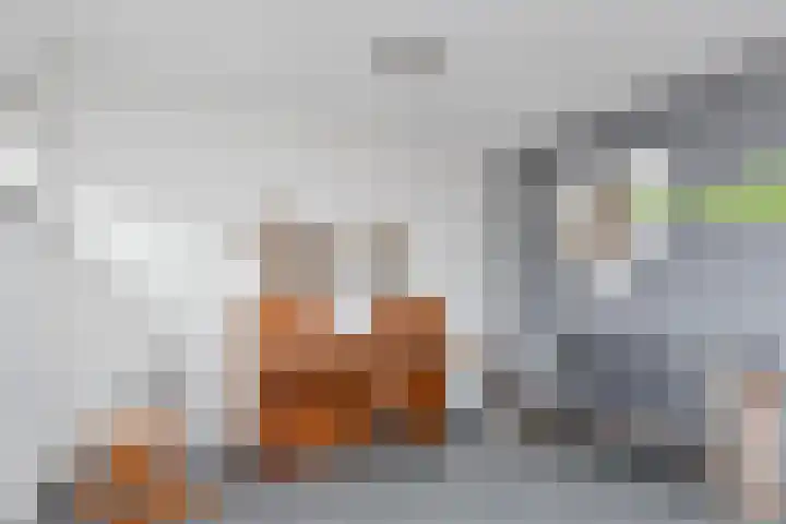 Wengéhout 26 Zoetermeer thumbnail 32