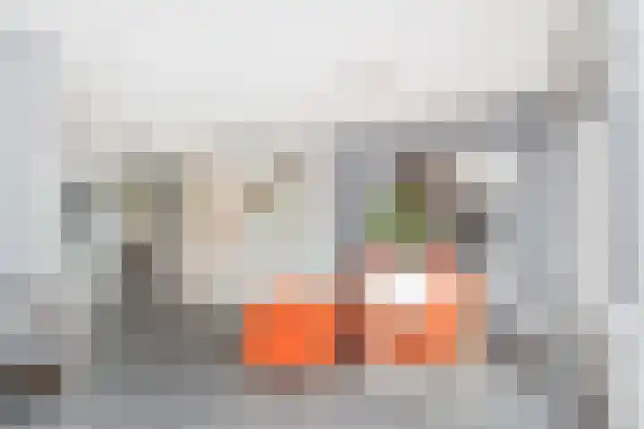 Wengéhout 26 Zoetermeer thumbnail 33