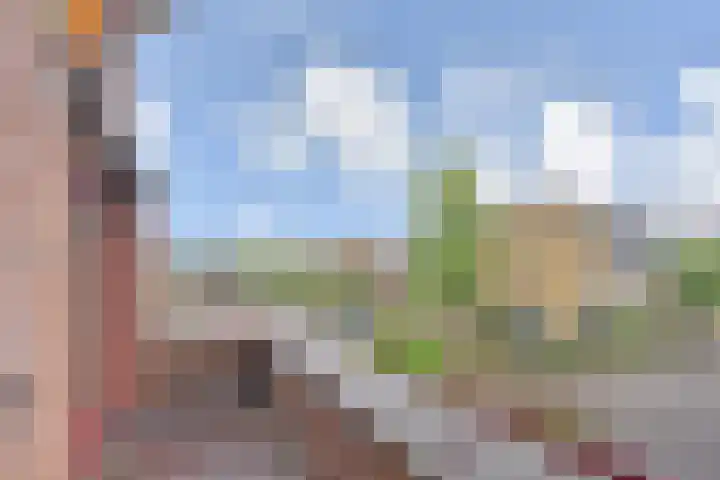 Wengéhout 26 Zoetermeer thumbnail 35