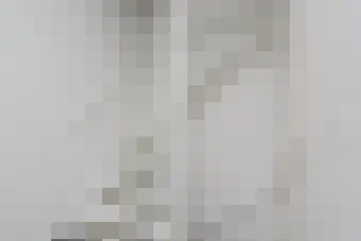 Wengéhout 26 Zoetermeer thumbnail 36