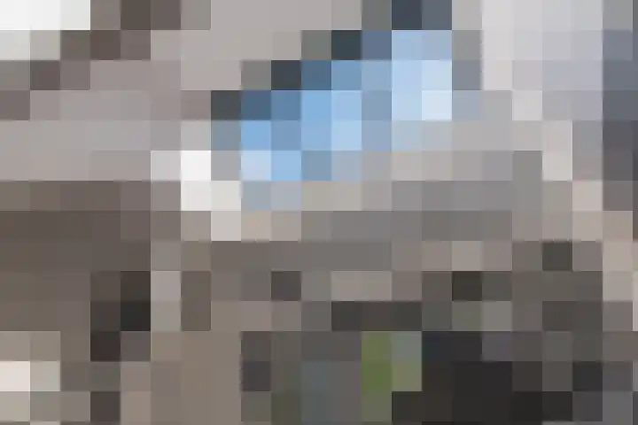 Wengéhout 28 Zoetermeer thumbnail 16