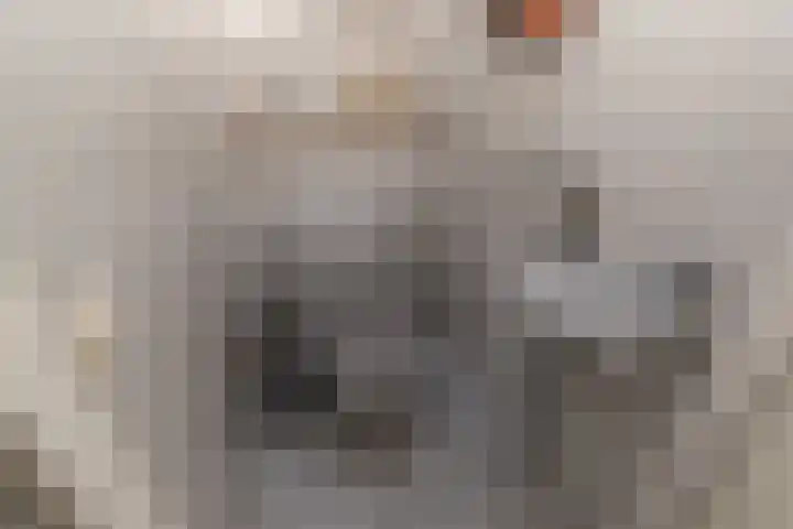 Wengéhout 28 Zoetermeer thumbnail 19