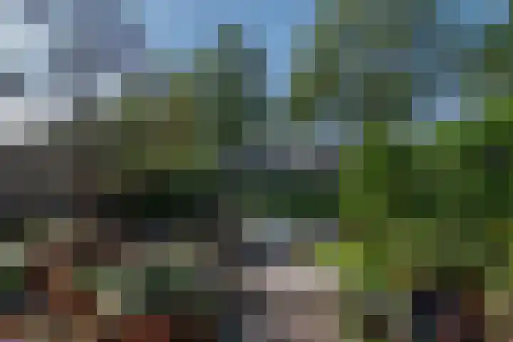 Wengéhout 28 Zoetermeer thumbnail 20