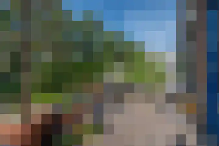 Wengéhout 28 Zoetermeer thumbnail 21