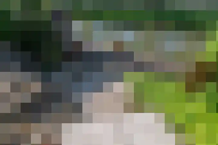 Wengéhout 28 Zoetermeer thumbnail 22