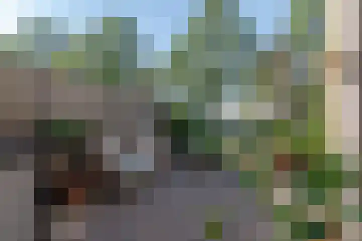 Wengéhout 28 Zoetermeer thumbnail 23