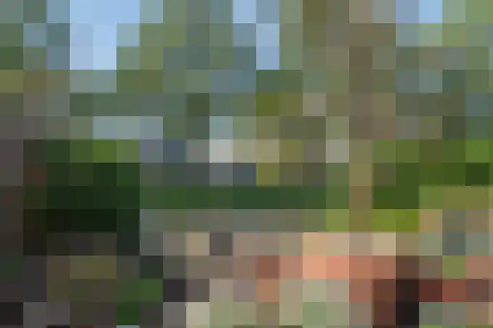 Wengéhout 28 Zoetermeer thumbnail 24