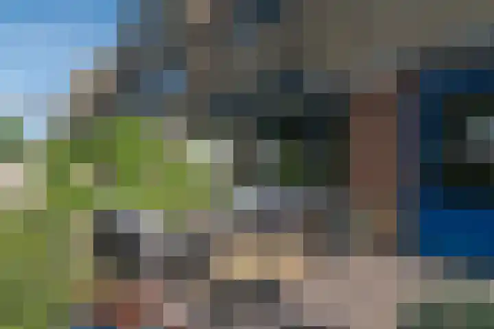 Wengéhout 28 Zoetermeer thumbnail 25
