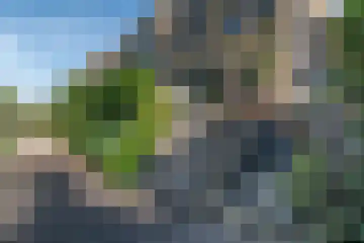 Wengéhout 28 Zoetermeer thumbnail 27