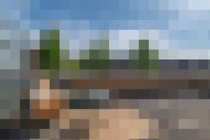 Wengéhout 28 Zoetermeer thumbnail 35