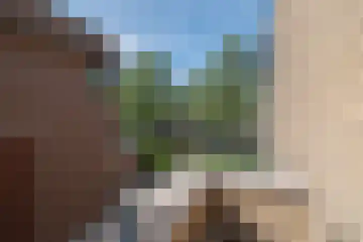 Wengéhout 28 Zoetermeer thumbnail 39