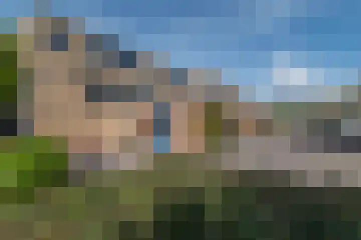Wengéhout 28 Zoetermeer thumbnail 51