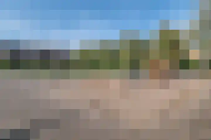 Wengéhout 28 Zoetermeer thumbnail 52