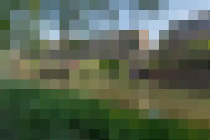 Wengéhout 28 Zoetermeer thumbnail 53