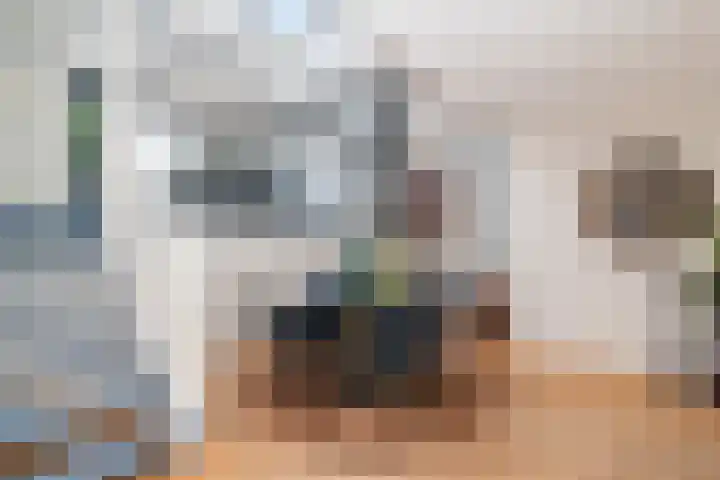 Wengéhout 28 Zoetermeer thumbnail 7