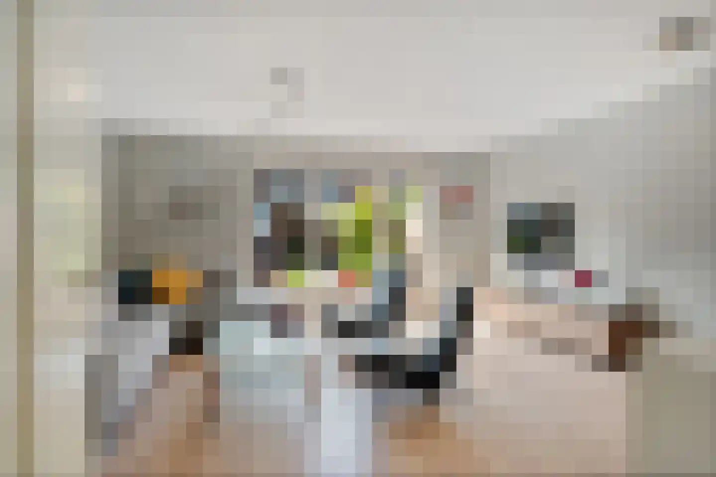 Wengéhout 3 Zoetermeer thumbnail 14