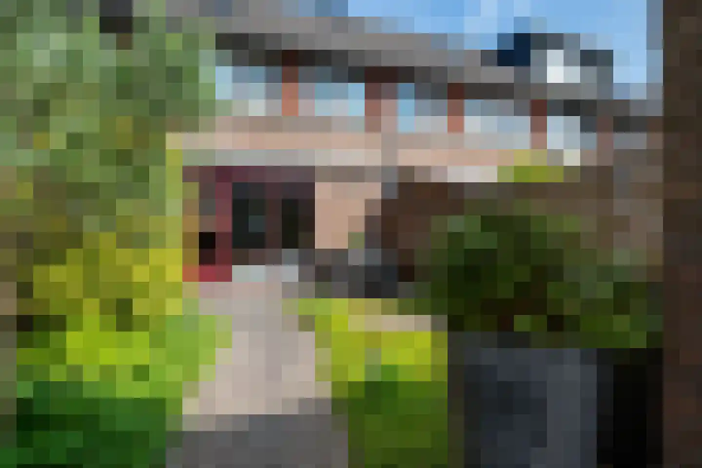 Wengéhout 3 Zoetermeer thumbnail 25
