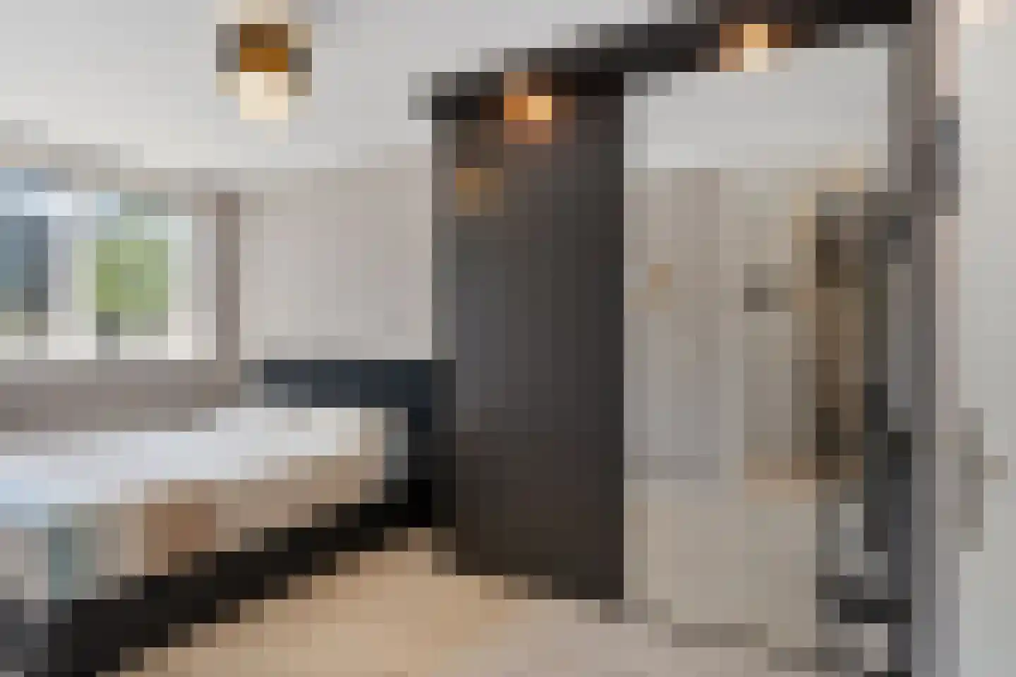 Wengéhout 3 Zoetermeer thumbnail 30