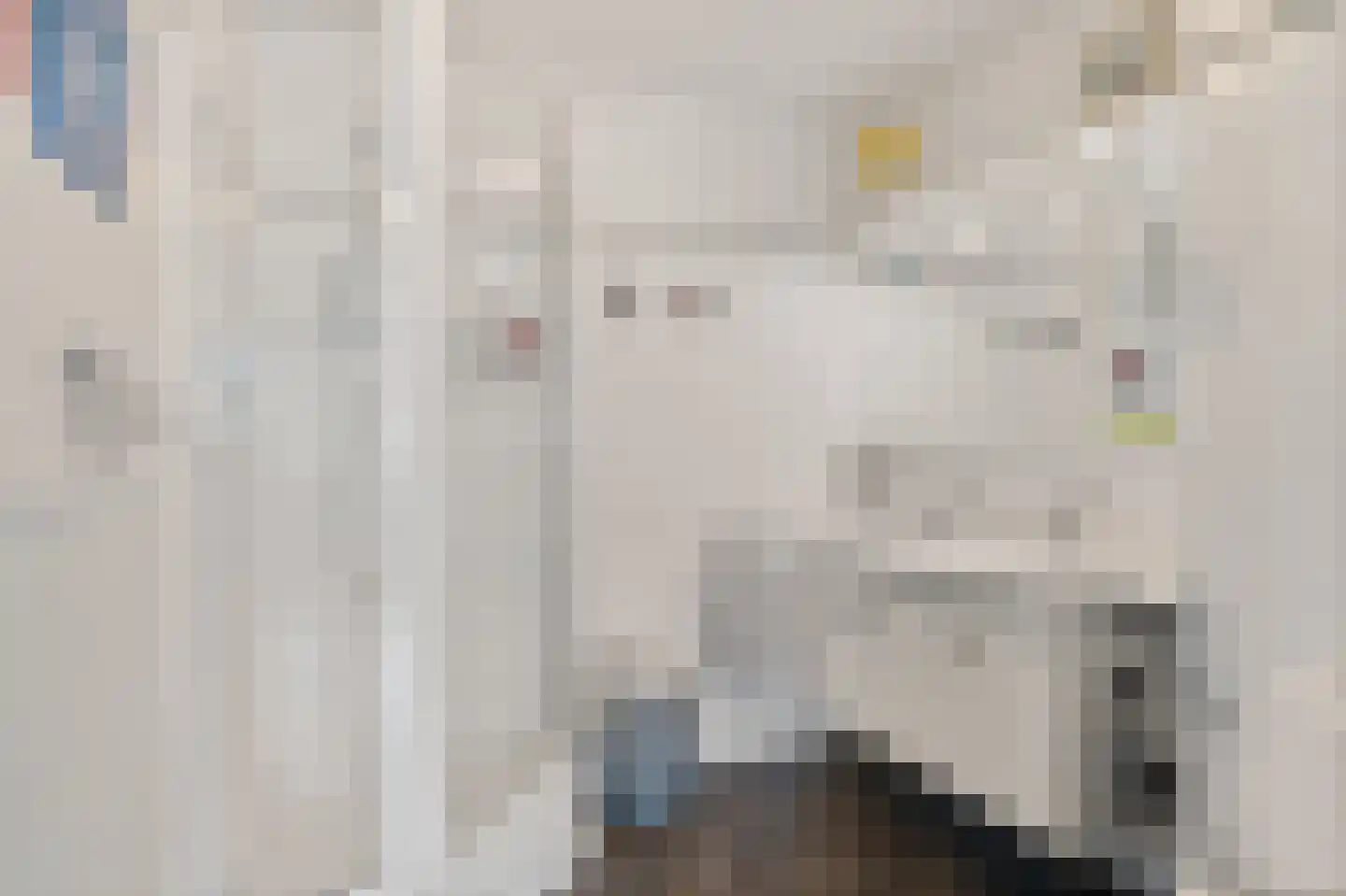 Wengéhout 3 Zoetermeer thumbnail 36