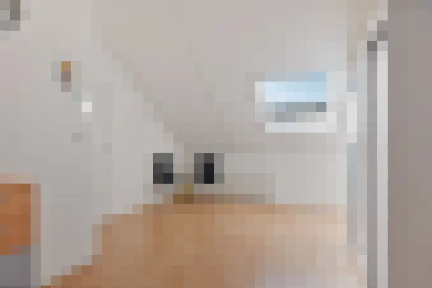 Wengéhout 3 Zoetermeer thumbnail 44
