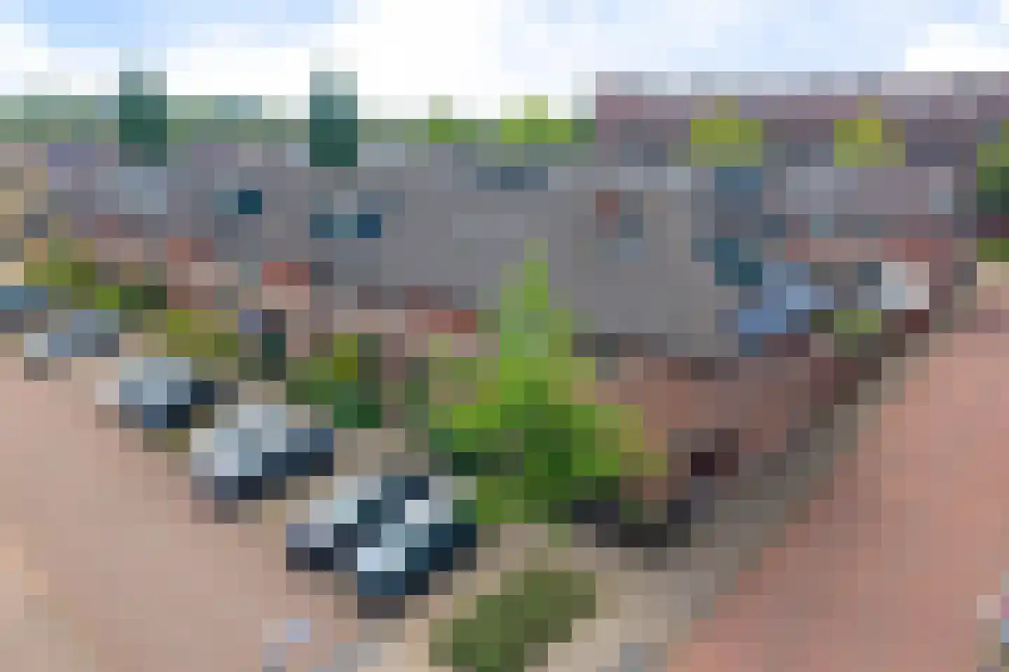 Wengéhout 3 Zoetermeer thumbnail 6