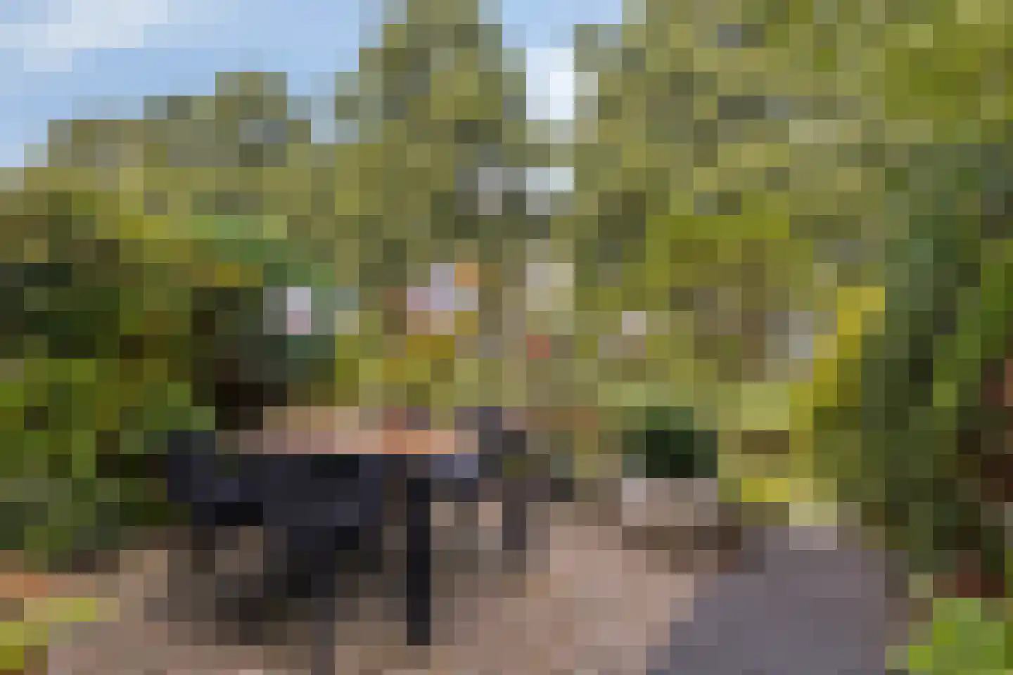 Wengéhout 46 Zoetermeer thumbnail 11