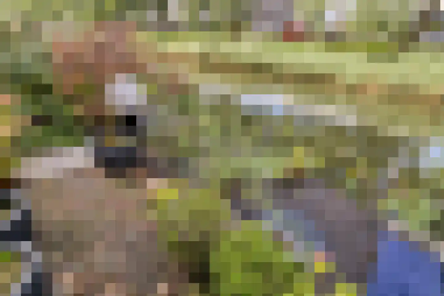 Wengéhout 46 Zoetermeer thumbnail 12
