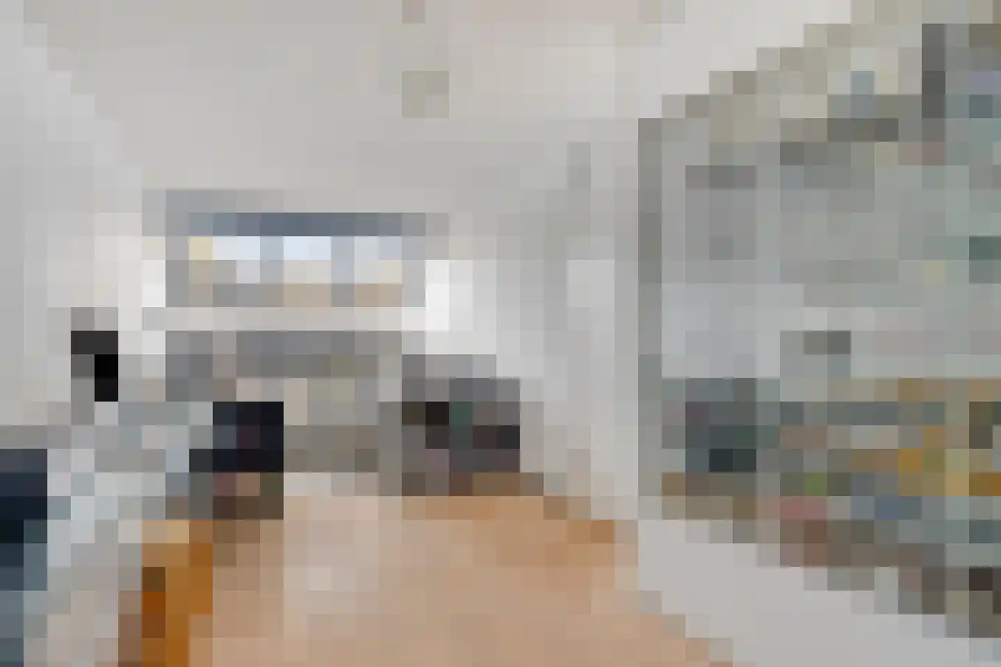 Wengéhout 46 Zoetermeer thumbnail 15