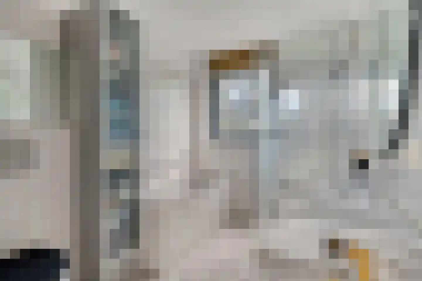 Wengéhout 46 Zoetermeer thumbnail 16