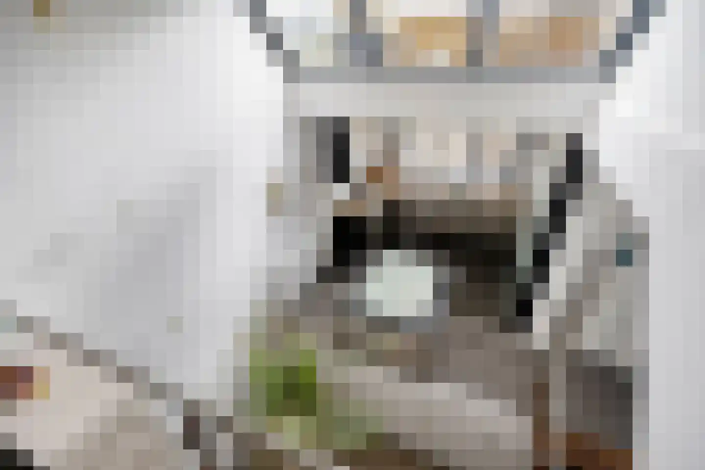 Wengéhout 46 Zoetermeer thumbnail 20