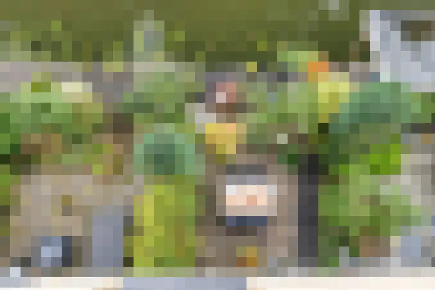 Wengéhout 46 Zoetermeer thumbnail 30